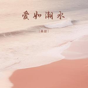 爱如潮水 (DJ版)