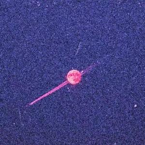 无人之岛（温柔男声版）