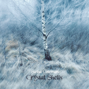 Crystal Shells