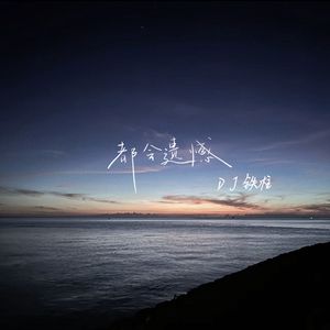 都会遗憾（DJ铁柱版）
