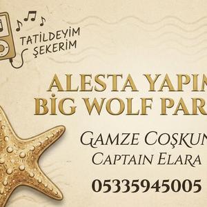 yalan demişsin ne yalanııı (feat. gamze coşkun)