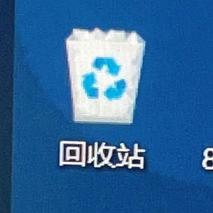 花开的时候你就来看我