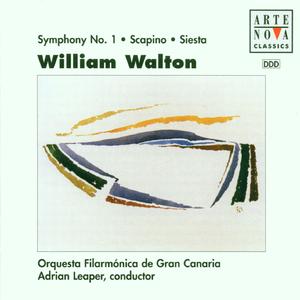 Symphony No. 1 in B-Flat Major:III. Andante con malinconia
