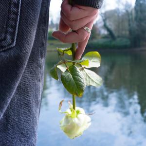 CHANT DE ROSES