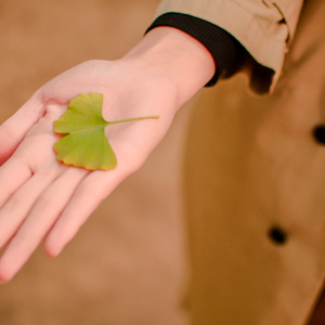 当夕流入山谷时