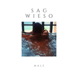 Sag wieso (Single Edit)