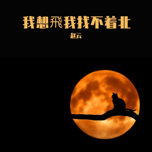 我想飞我找不着北
