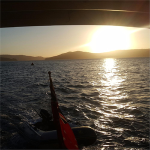 Summer Vibes (feat. Ellie & Dylan Bloor)