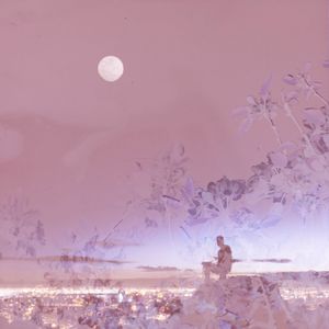 The Niles Twilight Serenade