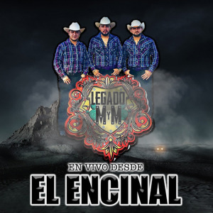 Mi Princesa (En Vivo)