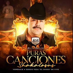 Necesito Dueña (En Vivo)