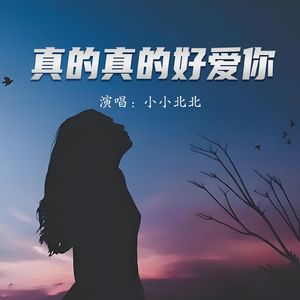 真的真的好爱你