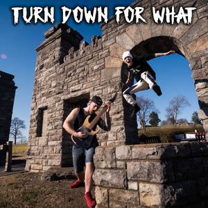 Turn Down For What (Metal Cover)