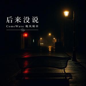 后来没说