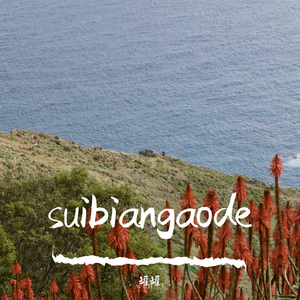 suibiantande