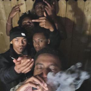 FreeMula