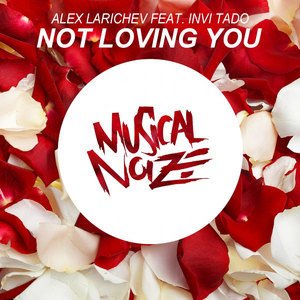 Not Loving You (Original Mix)