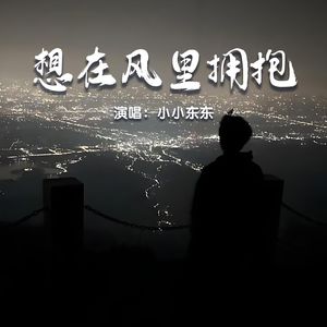想在风里拥抱