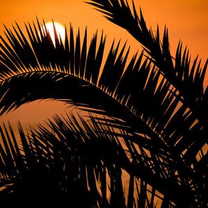 Don't Leave Me Alone