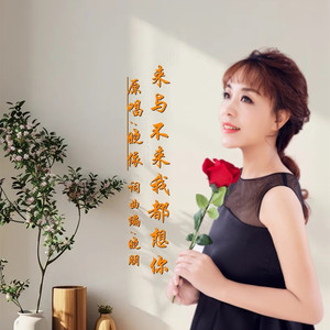 来与不来我都想你DJ