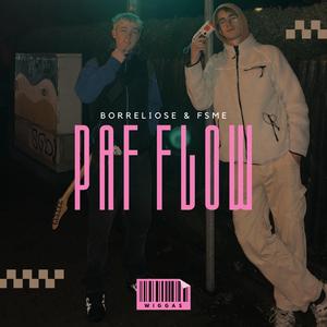 PaF Flow (feat. Benjo833)