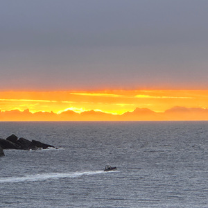 dingdong 叮咚 摇滚红与黑