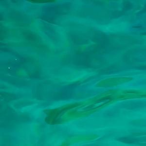 乐童音乐家-Dinosaur（GZONE remix）