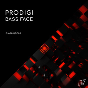 Bass Face (Radio Edit)