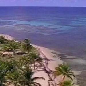 Can´t stop (feat. InDaCutsJay & SueyD)