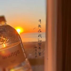 消失在我的世界里