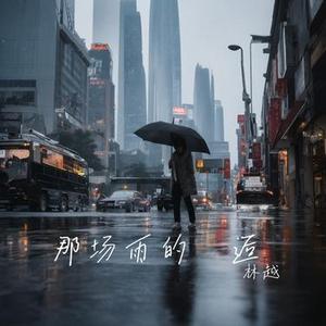 那场雨的邂逅