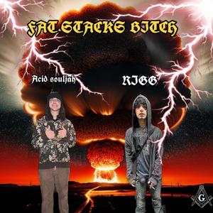 Fat stacks b***h (feat. Acid souljah)