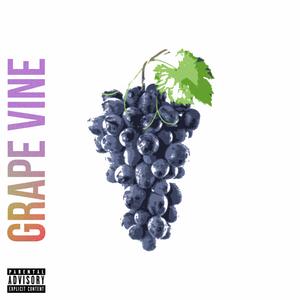 GRAPEVINE
