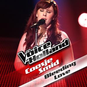 Bleeding Love (from The voice of Holland)