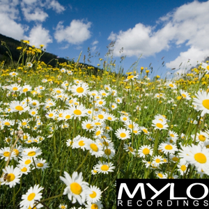 The Balancer (Groove Rebels Remix)