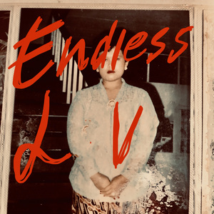 Endless Lv