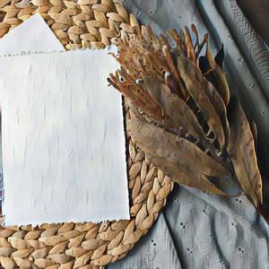 PAPERBOY (JUNGLE THEME)