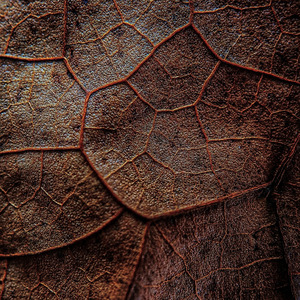 Schumann: Kinderszenen, Op.15: 12. Kind im Einschlummern