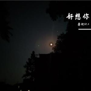 好想你