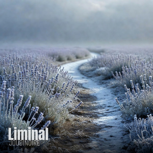 Liminal
