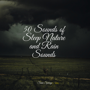 Rains in the Sky