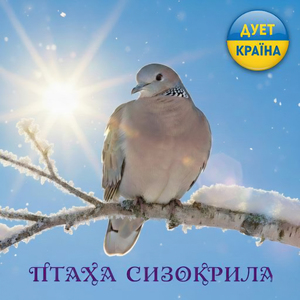 Птаха сизокрила