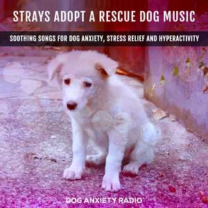 Adopt A Rescue Dog Music