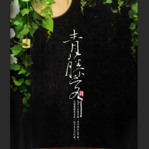 和平之月-青藤客-剧场版（Aster阿斯特 remix）