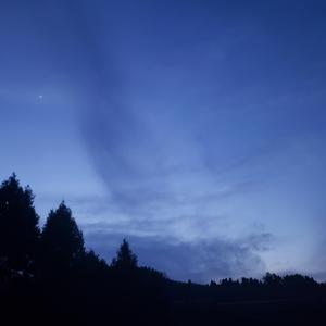 希望你有个好梦（Prod by Young Chance）