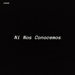 Ni Nos Conocemos