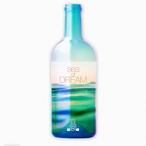 Sea Of Dream (With Kim Jinsu)
