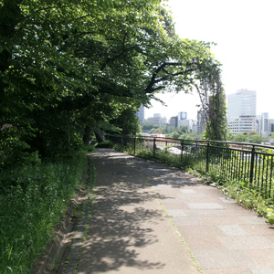 優しい帰り道
