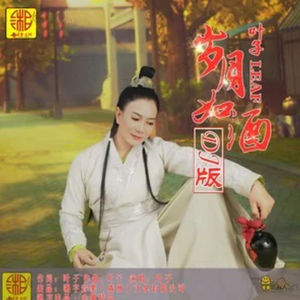 岁月如酒 (DJ版)