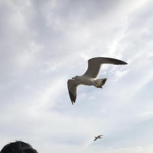 不问归期只归你